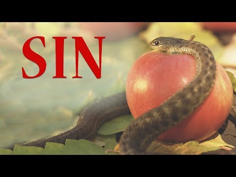 Click to Watch the Sin video Click to Watch the Sin video