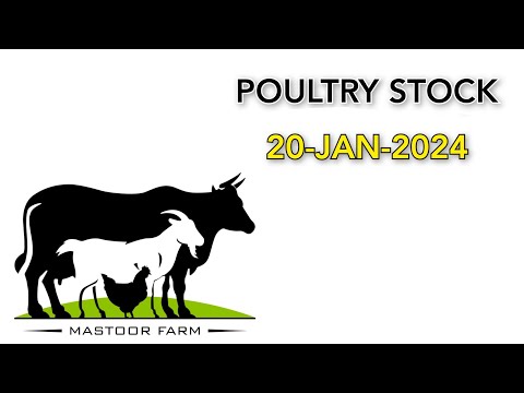 Poultry Stock: 20-Jan-2024 (Black Copper Maran | Cream Legbar | Olive Egger | Jersey Giant) Karachi