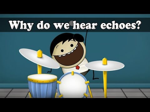 Why do we hear echoes? | #aumsum #kids #science #education #children
