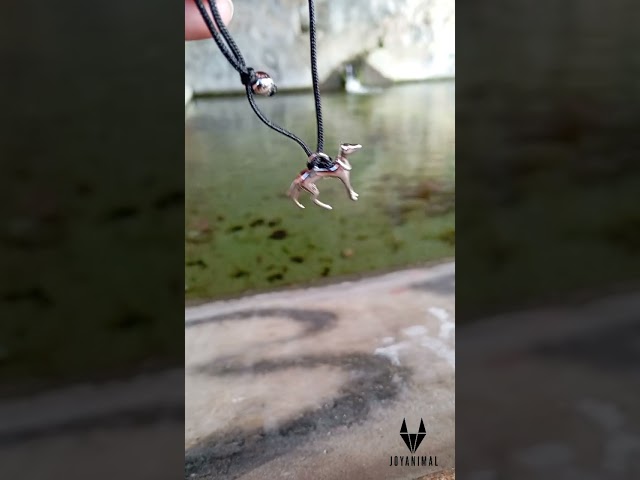 Vídeo relacionado con FDEETY Pulsera Animada Kawaii Dibujos Animales Adorables Colgantes Plata Ajustable Joyería Personalizada Accesorios Muñeca