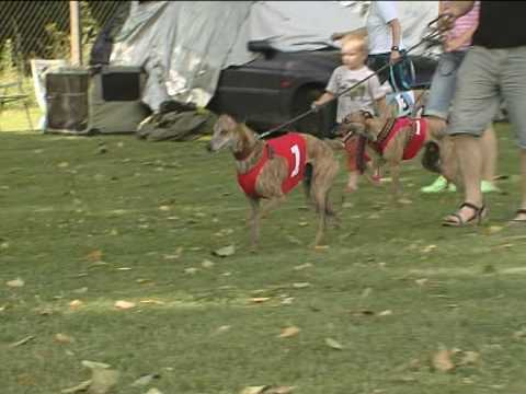 Rábapatona hívogat