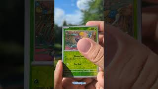 Maushold Ex Par - Double Rare