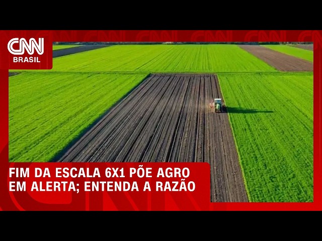 Fim da 6x1 preocupa setor do agro e acende alerta; veja no Conexão Agro | CNN PRIME TIME