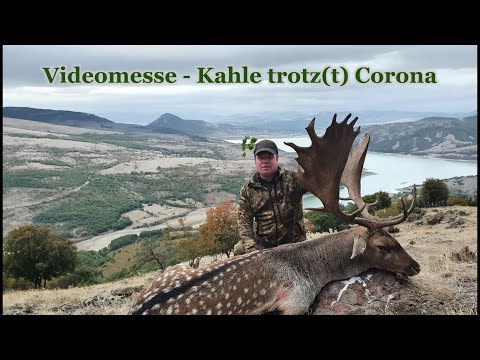 Videomesse - Kahle Trotz(t) Corona Tag 5 - Damwild