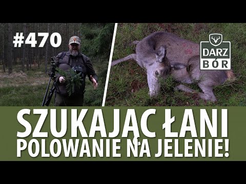 Darz Bór odc. 470 „ Szukając łani”. Polowanie na jelenie!