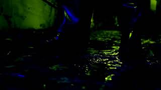 THE RAVER'S ODYSSEUS