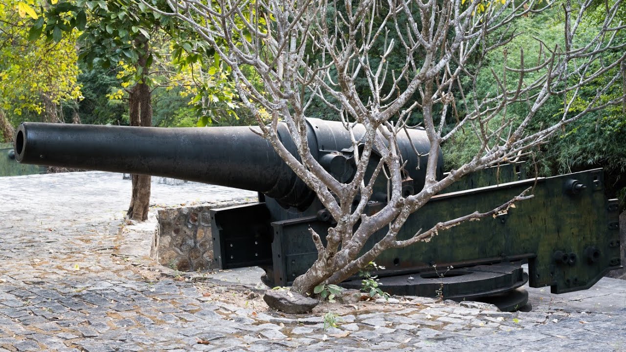Experience a virtual tour of French Field Guns & Forts.