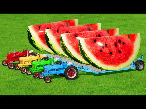 LOAD AND TRANSPORT WATERMELONS WITH FARMALL TRACTORS - Farming Simulator 22