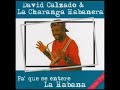 LA CHARANGA HABANERA - SUPER TURISTICA (LUIS SALSA)