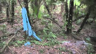 Sant&#39;Antimo, il consigliere Italia: no speculazioni Bosco Capezza