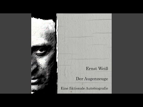 Kapitel 111 - Der Augenzeuge. Eine fiktionale Autobiografie.