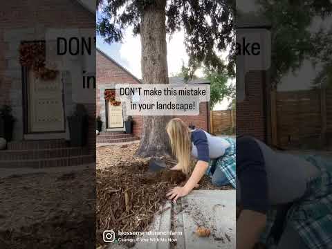 造園時にはこれを行わないでください。