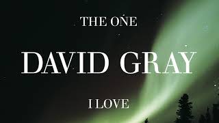 David Gray - Going In Blind (Official Audio)