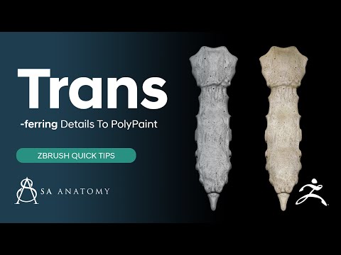 How To Easily Transfer Details To PolyPaint In ZBrush (Quick Tip 5)