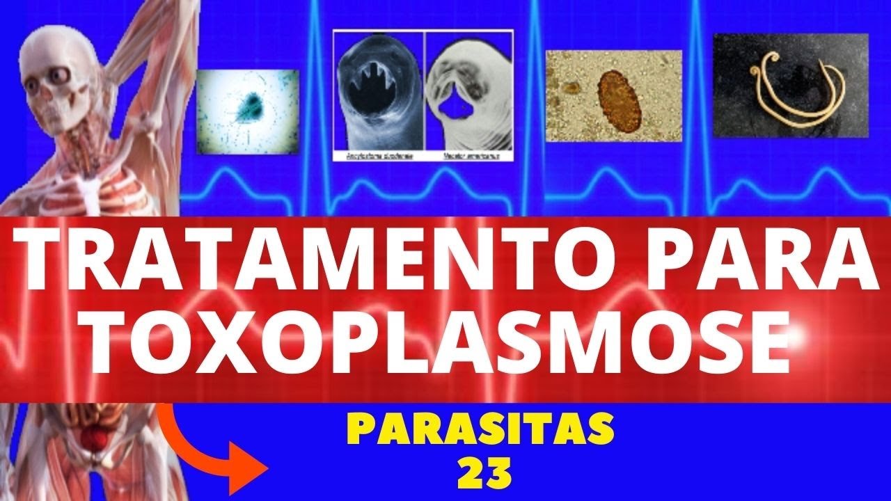 TRATAMENTO PARA TOXOPLASMOSE (SAIBA COMO TRATAR) - PARASITOLOGIA | INFECTOLOGIA