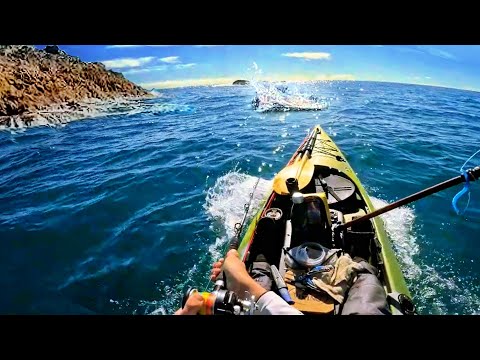 GIANT FISH Explode on Live Bait!! Hard Earnt Redemption...