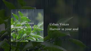 Harvest In Your Soul Music Video