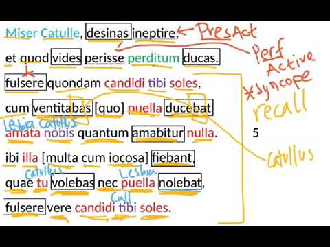 Catullus 8