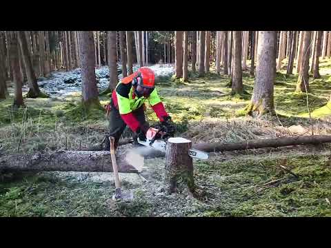 Kette schärfen - "Baumschraubstock" www.wald-arbeit-sicherheit.de