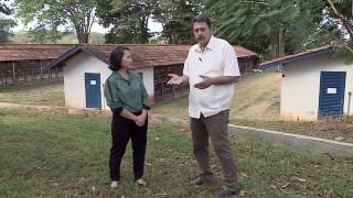 Miniatura do vídeo