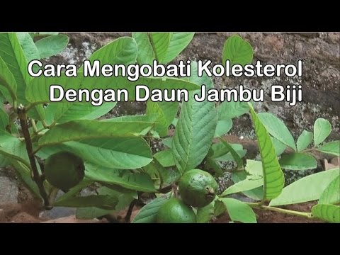 Mungkin setelah operasi caesar untuk menghilangkan lemak perut Magnetik pijat pelangsing