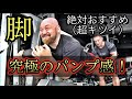 山本義徳式の脚トレ!悶絶!このレッグカールの効き方がヤバいです。