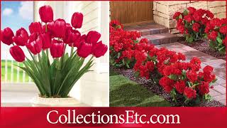 Spring Lawn & Garden