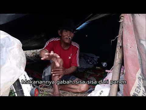 Sang Penggembala Bebek Banyumas