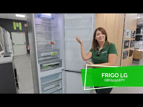 Frigo combi LG GBV5250EPY | Milar