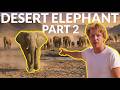 The Secret Life Of African Desert Elephants Part 2