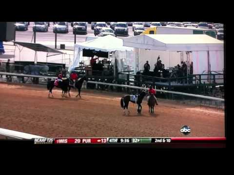 Big Drama 2010 Breeders' Cup Sprint Race and Owners Interview