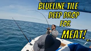 Blueline Deep Drop for MEAT!