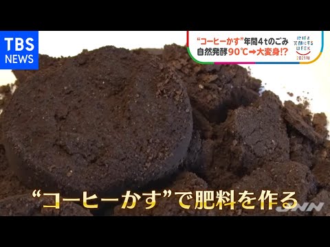 コーヒー粕と植物：キョウチクトウの肥料として使用できますか?  庭園
