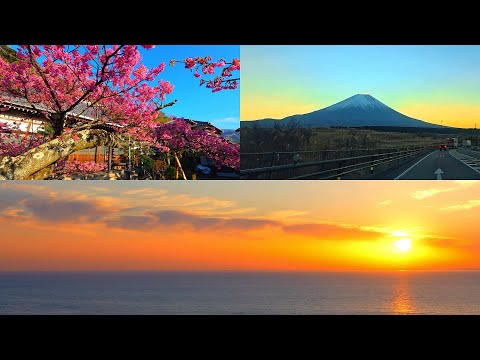 A trip to Izu to see Sakura, Mt.Fuji, and sunset spots!