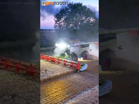 CLAAS COMBINE HARVESTING WHEAT