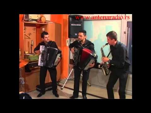 Zeljoteka Antena i Skorpioni - Skorpionsko kolo