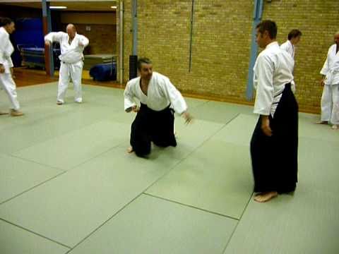 Aikido - playing
