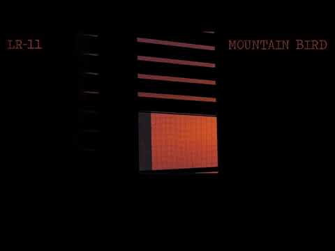 LR-11 - Mountain Bird