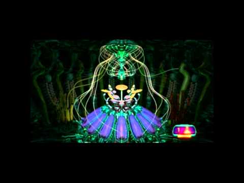 Fiber Bundles - Bonus feature