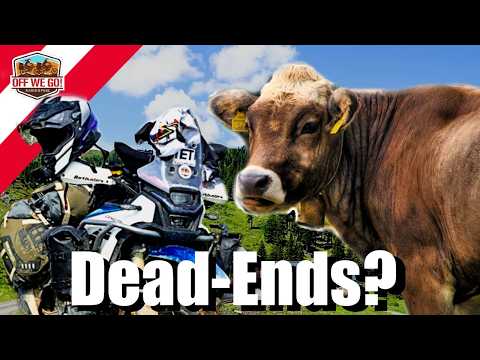 Alpine TET our CFMOTO 450MT take it on | detours included