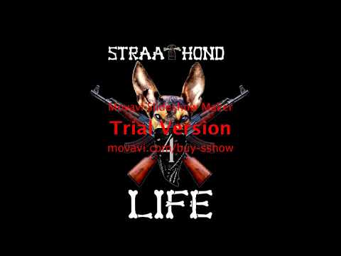 DENG BOI NOH KNOW MIE LANGAFINGA ft. KIEV ( Eli F. STUDIO ) RTF