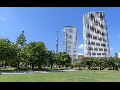 動画サムネイル