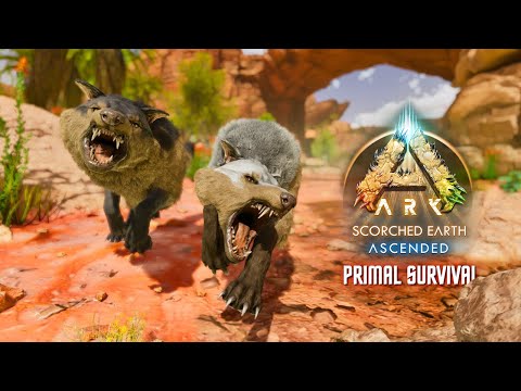 I Tamed a MAX Level Direwolf... and died a lot Ep. 4 | ASA Scorched Earth