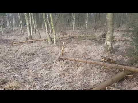 Stangensuche Sanny 18 ender