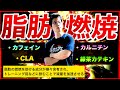 【今知っておくべき】脂肪燃焼に有効な「ファットバーナー」の真相と、脂肪をバンバン燃やす飲み方。