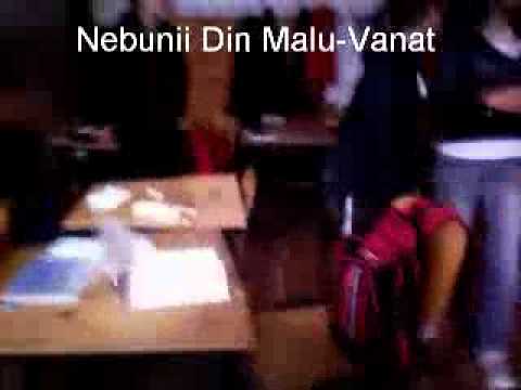 Nebuni Din Malu-Vanat
