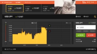 【FX】1万円から始める為替取引【BO】50