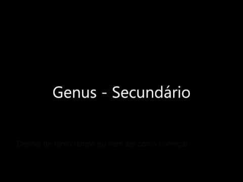 Genus - Secundário ( C/ Cristina )