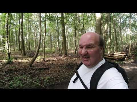 MongoTV_3387 - English Vlog_0192 - Friday Walk In Forest Frederiksdal