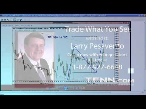 December 18th Trade What You See with Larry Pesavento on TFNN - 2015